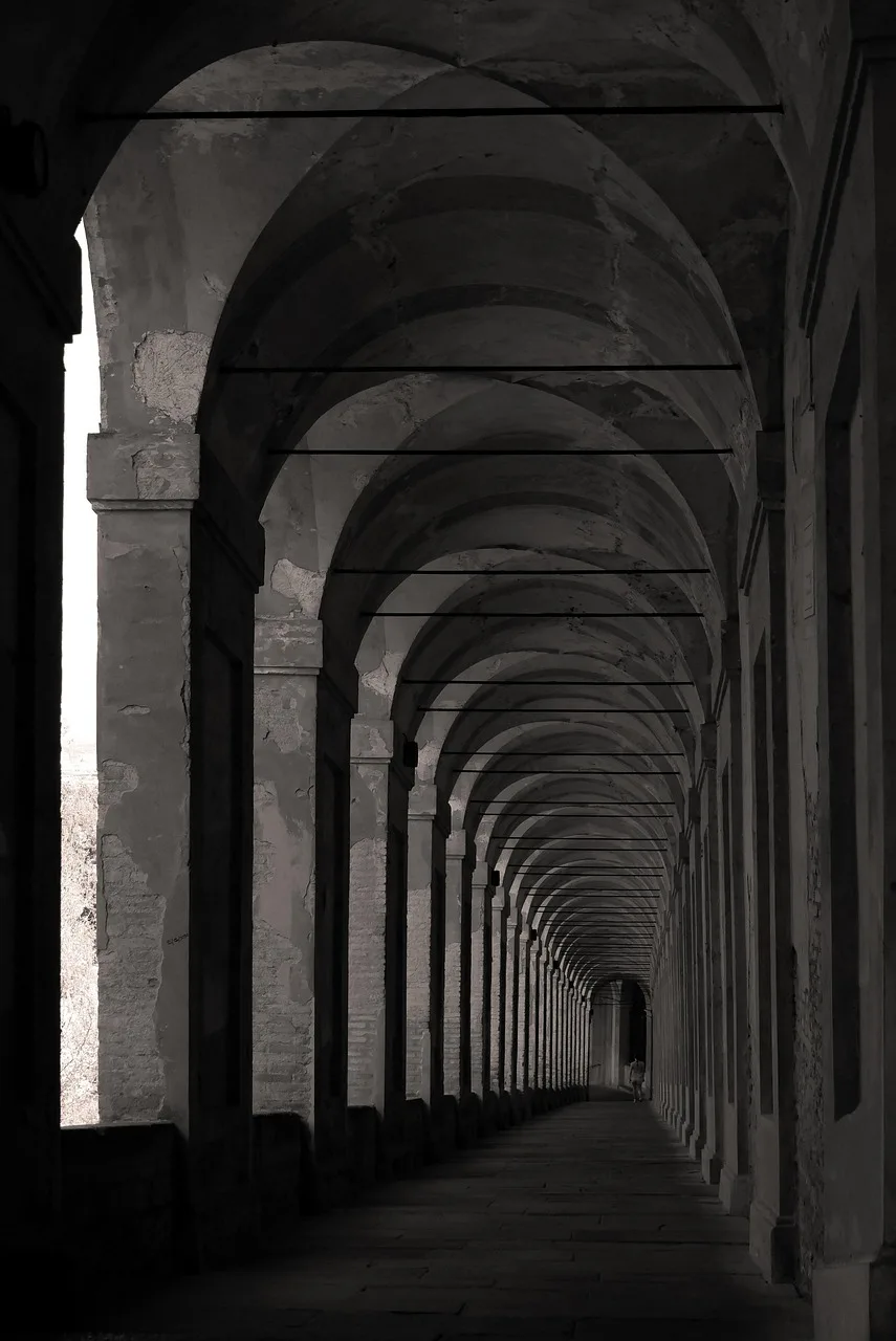 columns, hall, building, monochrome, bologna, italy, bologna, bologna, bologna, bologna, bologna